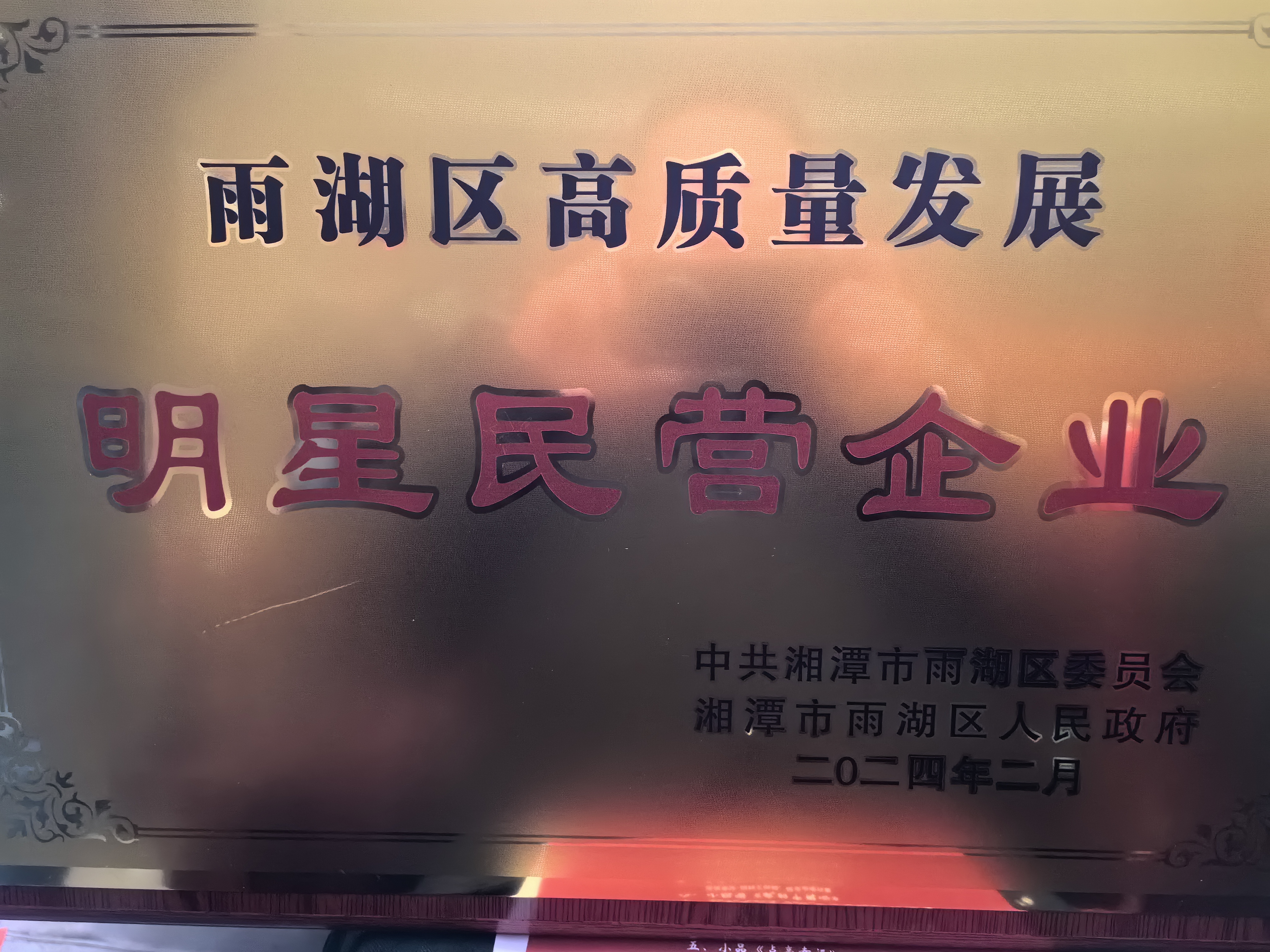 米兰（中国）荣获“雨湖区高质量发展明星民营企业”称号